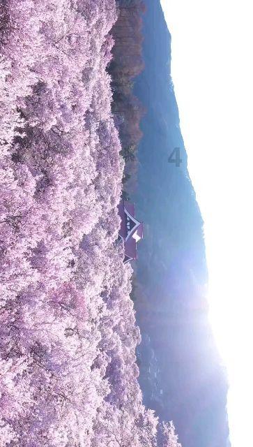 探秘购买新能源汽车以后,你有续航焦虑症吗?提升续航真的可以完全消除续航焦虑吗?知识星球,一起开启知识新世界