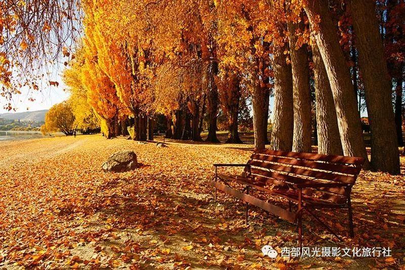 哈哈体育官方入口